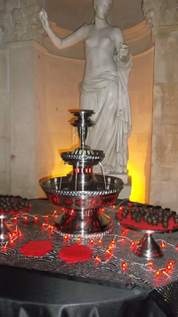 Chocolate Nirvana  Quality Chocolate And Drinks Fountain Hire For The South West 1096387 Image 9